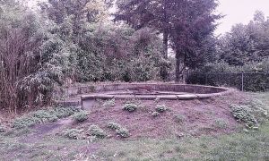 Buitenterrein-1.jpg